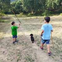 Amb dues M (@gemmatorne) 's Twitter Profile Photo