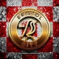 Fanalyst mainly focused on #bristolcity and #championship - likes a Viz or two! (insta/threads @davefevsfb)