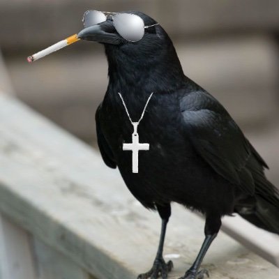 NemesAdrin3's profile picture. I just live