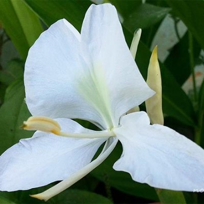 EusebitaT's profile picture. Revolucionaria hasta la médula, antiimperialista y fidelista. #ConCubaNoTeMetas #LeñadoresEnCombate