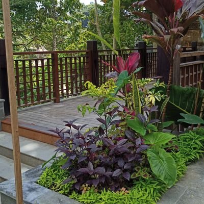 Sisiterang25's profile picture. Yuuhuuu