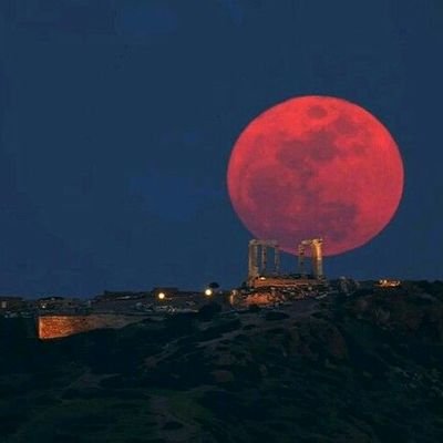 thomas_desalegn's profile picture. 