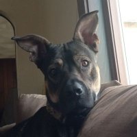 Jarrett Barlage (@jarrettbarlage4) 's Twitter Profile