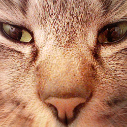 Mt_akky's profile picture. 酒。 lynch.、葉月/HAZUKI好き。
Laputaは永遠。ゆるく⚾🦊