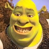 VikingShrek Profile Picture