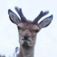 BlazQ11 (@blazq11) 's Twitter Profile