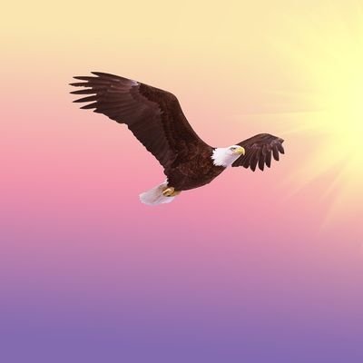 pcm03sm's profile picture. Be Careful With Your Words. Once They Are Said, They Can Be Only Forgiven, Not Forgotten.