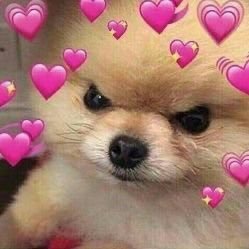 alyssa260's profile picture. i ❤splatoony