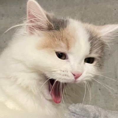 9qLI4UjrdqkWekS's profile picture. メンズエステ　リフレ　よく行きます