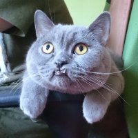 Michal Schwarz (@michalschwarz2) 's Twitter Profile