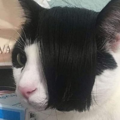 te3nag3dirtbag's profile picture. 𝔐𝔢 𝔳𝔞𝔩𝔢 𝔳𝔢𝔯𝔤𝔞 𝔭𝔲ñ𝔢𝔱𝔬𝔫, 𝔪𝔢 𝔳𝔞𝔩𝔢 𝔳𝔢𝔯𝔤𝔞 𝔱𝔬𝔡𝔬 𝔭𝔢𝔫𝔡𝔢𝔧𝔬 ♡