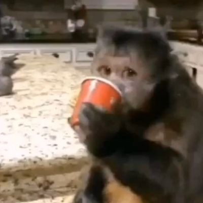 maadkidd_'s profile picture. 