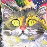 HappyCats (@bjacky) 's Twitter Profile