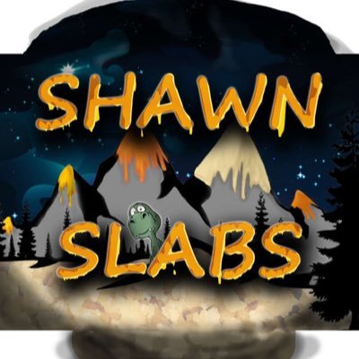 Follow my Instagram @shawnslabs