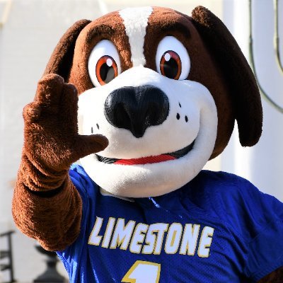 LimestoneBernie Profile Picture