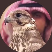 ابو يزيــــــد (@yaz_g88) 's Twitter Profile