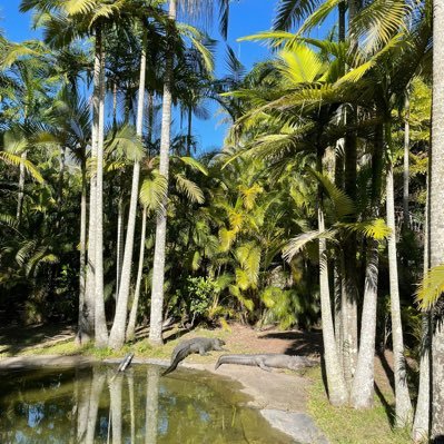 shvals2's profile picture. BITCOIN 🇬🇧Family. Grand Mother. Freedom. Love 💕🙏