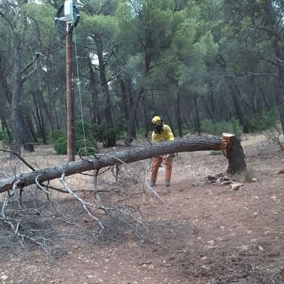 Feliz y con una sonrisa siempre!!! Componente de Pasión De Linares!!! Bombero Forestal Plan Infoca 👨🏾🚒🪓💪🏾