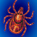 Lyme Research UK (@lymeresearchuk) Twitter profile photo Lyme Research UK (@lymeresearchuk) Twitter profile photo
