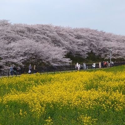 2023年7月で結婚25周年のアラフィフの男。2021年3月の時点で2年ほどレス。妻に辛いことを正直に話して、1度だけホテルに行きました。その後、1ヶ月後に誘ったら私とのセを考えると気分が悪くなると、拒絶。更年期で性欲がないと…。
それを信じてたけど2022年7月に妻の浮気が発覚しました…。
無言フォロー失礼します。