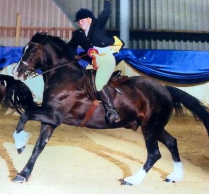 BA(Hons)Multimedia Jounalism student, Teeside uni My life revolves around my horses, music, gossip and alcohol =)