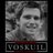 VoskuilMatthijs's profile image