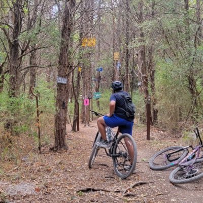 cnshrk's profile picture. 