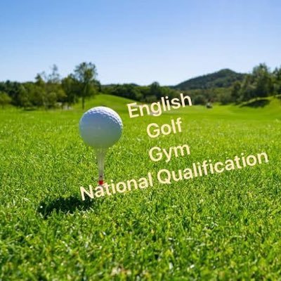 12月までの目標⛳️ゴルフ:95ギリ🏌️ 🔠英語勉強:500時間🔤 📚資格勉強:500時間📖 💪筋トレ:週3回🏋️#一緒にやってくれる仲間募集中 #英会話 #中小企業診断士 #ゴルフ #筋トレ