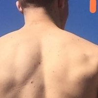 Leaobazzuca (@leaobazzuca) 's Twitter Profile