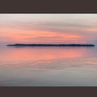 anthony mc garry (@anthonymcgarry3) 's Twitter Profile