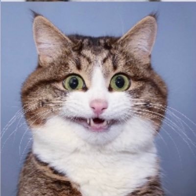 KathrynMackenz7's profile picture. Mom, Wife, and Math/Sci Teacher!