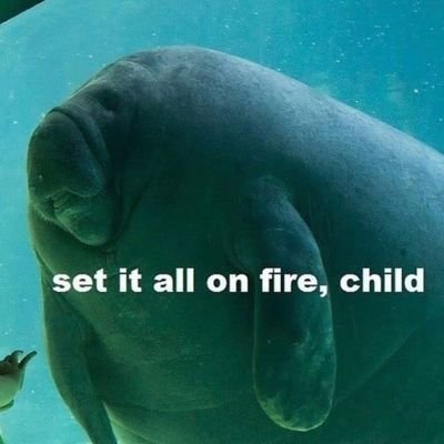 manatee_orphan Profile Picture