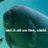 manatee_orphan's profile picture