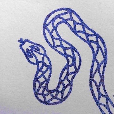snake artist 🐍🏴󠁧󠁢󠁳󠁣󠁴󠁿