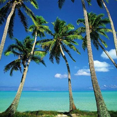 limedude98's profile picture. ¯\_(⊙_ʖ⊙)_/¯, ┬┴┬┴┤( ͡° ͜ʖ├┬┴┬┴,✧･ﾟ: *✧･ﾟ:*( ͡ᵔ ͜ʖ ͡ᵔ )*:･ﾟ✧*:･ﾟ✧
there u go.