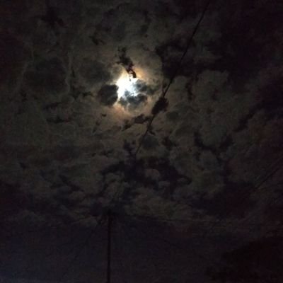 tembok_kamar's profile picture. gatau.