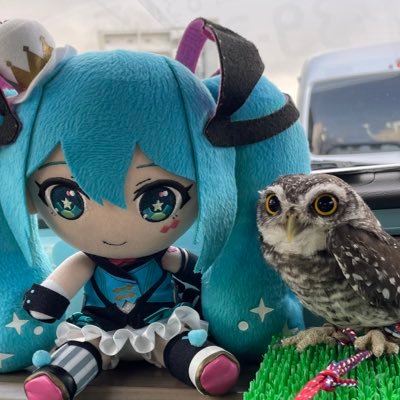 🦉インドコキンメフクロウ空(そら)と、飼い主でございます❗️ 無言フォロー失礼致します🧡 新しくインドコキンメの天(てん)が家族になりました🦉🩷🦉