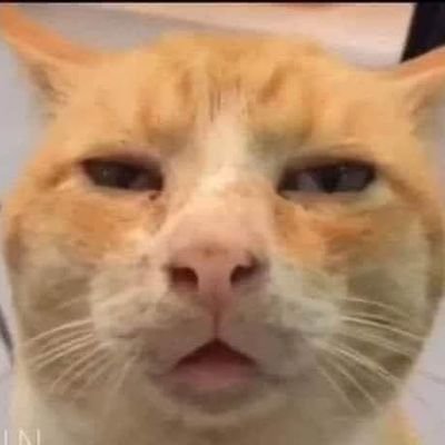 PaingTh29523796's profile picture. cool