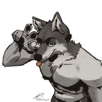Dray Wolf 🐺 (@draythewolf) 's Twitter Profile