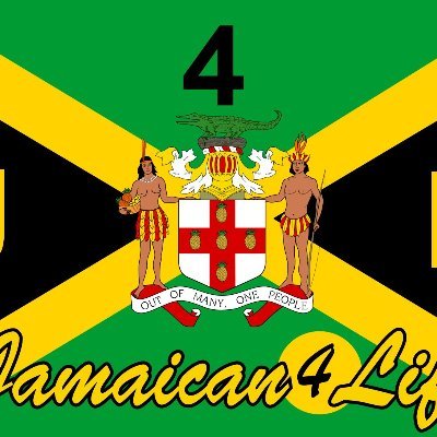 Non-Profit Organization geared toward supporting various charitable community projects in the US Midwest & Jamaica - Zelle: jamaicans4life@gmail.com