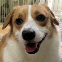かつら@大原優乃考察 (@35dfeuc5hfegofd) 's Twitter Profile Photo