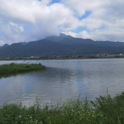 xiaotongxue777's profile picture. 