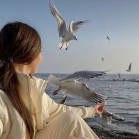 اعجبني. (@9qq95) 's Twitter Profile