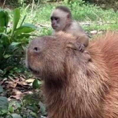 BrodyGarrett15's profile picture. 