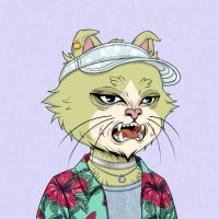 qiyana.bnb,(🌸, 🌿)❤️ Memecoin (@jackeyygr) 's Twitter Profile
