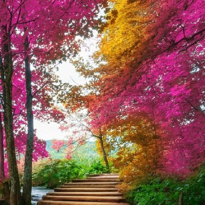 vslbbz's profile picture. 