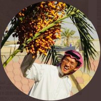 شيخ زكي (@shaikh_zaki_) 's Twitter Profile