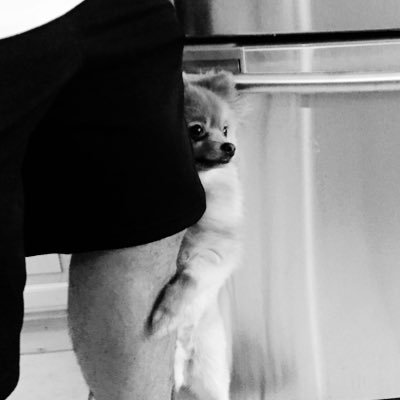 aricthomas's profile picture. 