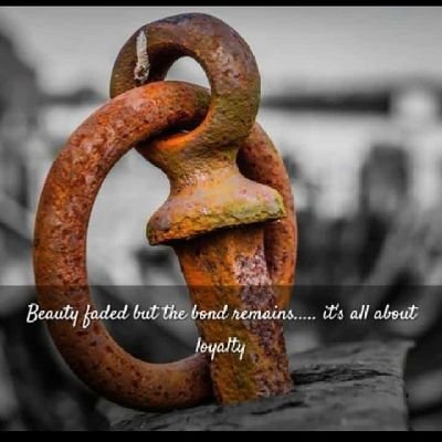 Jedidah73440485's profile picture. 