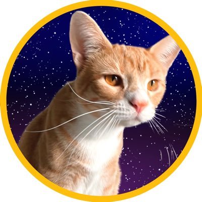 milkmanthecat Profile Picture